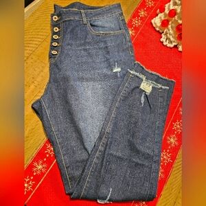 Skinny Fit Button Fly Distressed Jeans